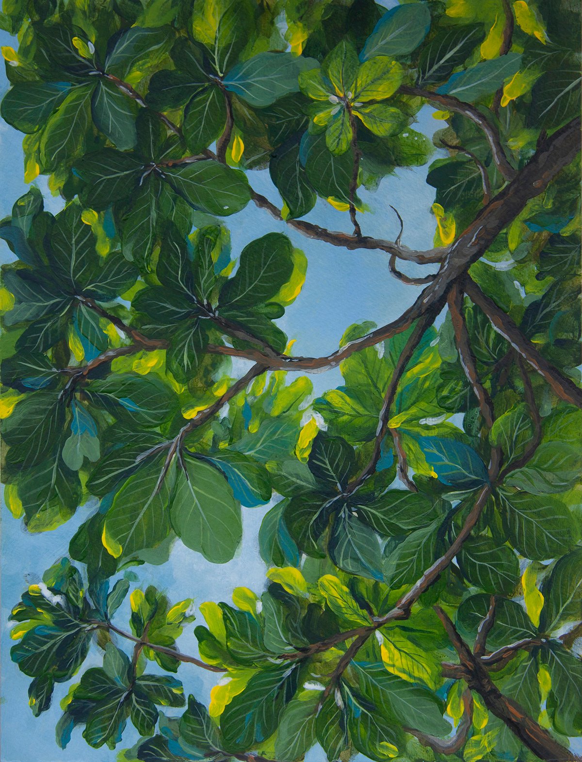 Tropical tree canopy painting with lush vegetation