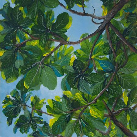 Tropical tree canopy painting with lush vegetation