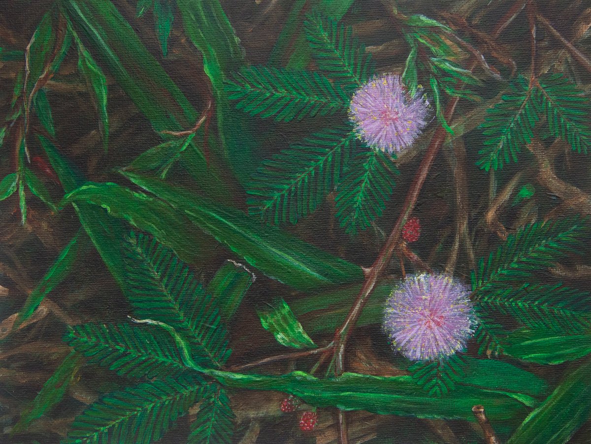 Painting of pink mimosa flowers with green fern leaves