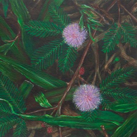 Painting of pink mimosa flowers with green fern leaves